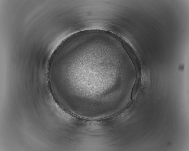 X0000112031116200908241532