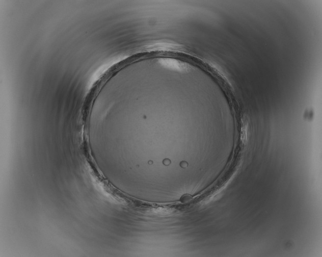 X0000112031117200908241532