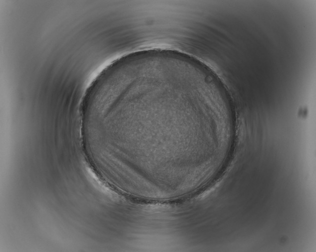 X0000112031118200908241532