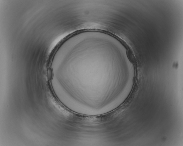 X0000112031120200908241532