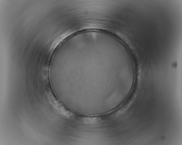 X0000112031121200908241532