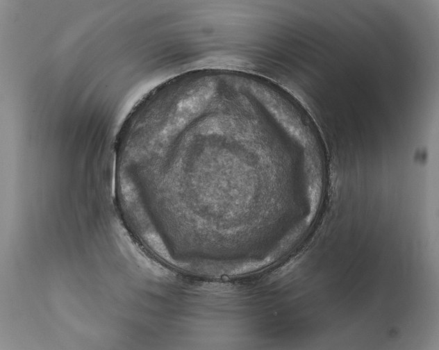 X0000112031123200908241532