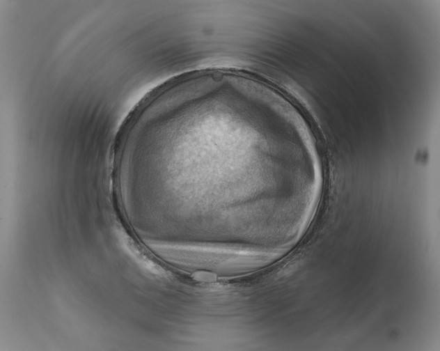 X0000112031124200908241532