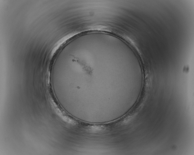 X0000112031125200908241532