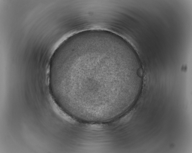 X0000112031126200908241532