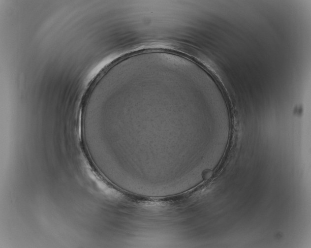 X0000112031127200908241532