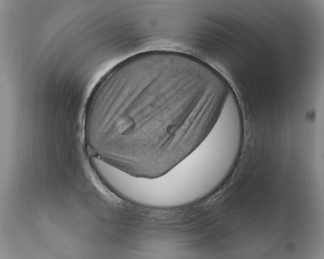 X0000112031128200908241532