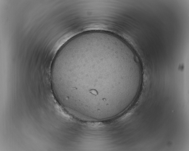 X0000112031129200908241532