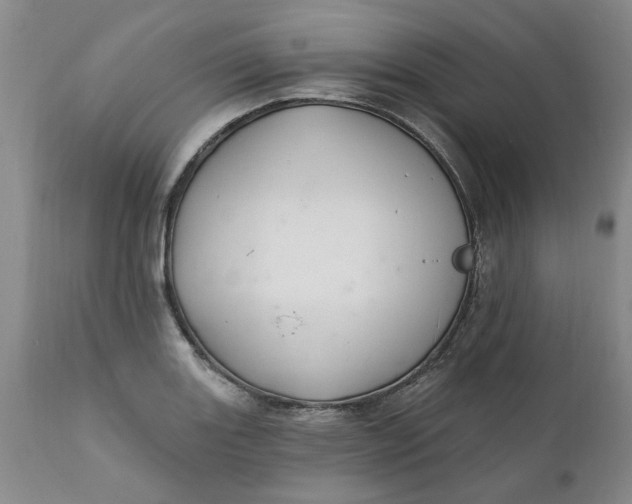 X0000112031131200908241532