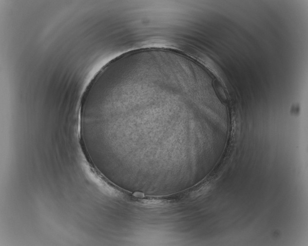 X0000112031132200908241532