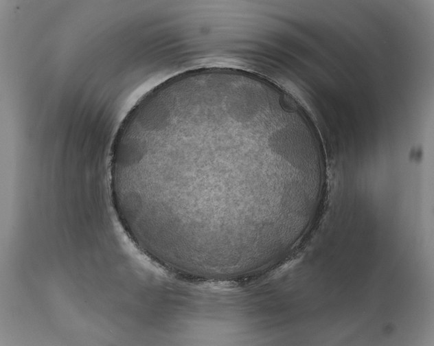 X0000112031133200908241532