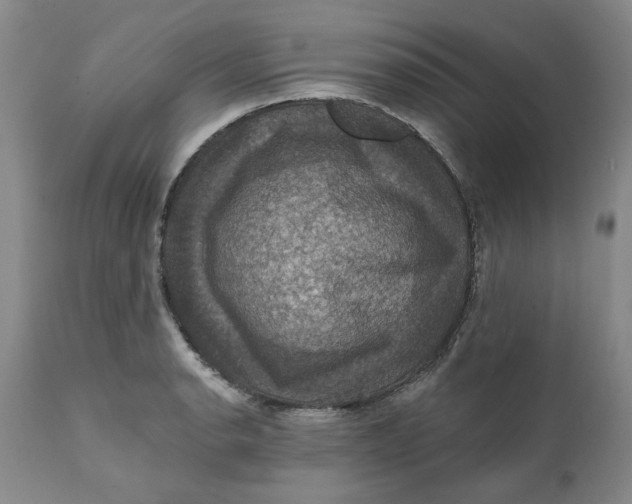 X0000112031134200908241532