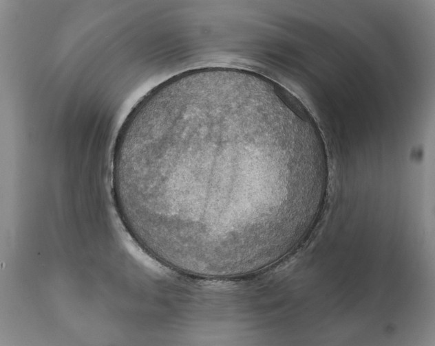 X0000112031136200908241532