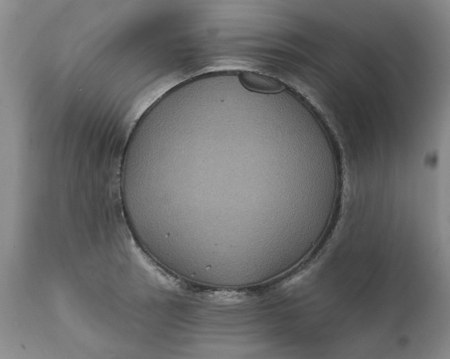 X0000112031137200908241532