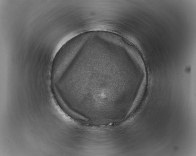 X0000112031138200908241532