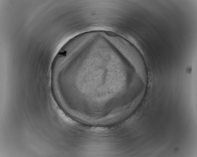 X0000112031140200908241532