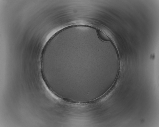 X0000112031141200908241532