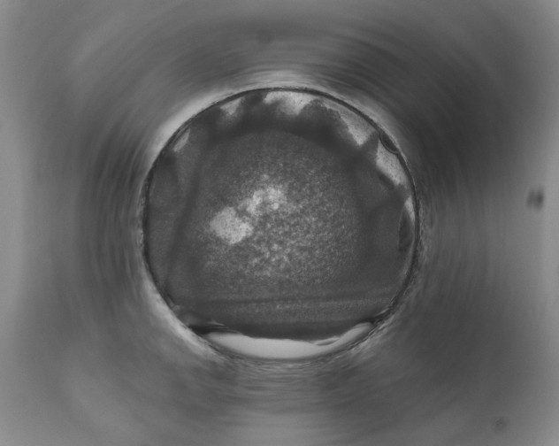 X0000112031142200908241532