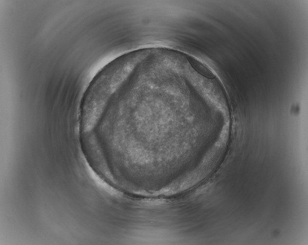 X0000112031143200908241532