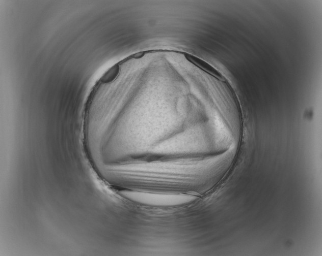 X0000112031144200908241532