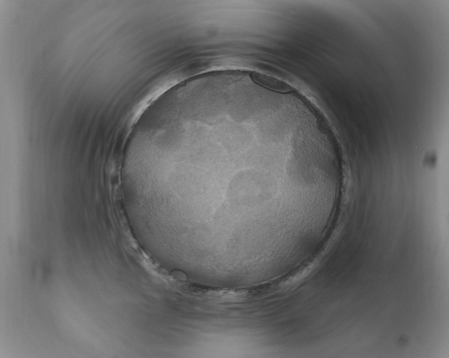 X0000112031145200908241532