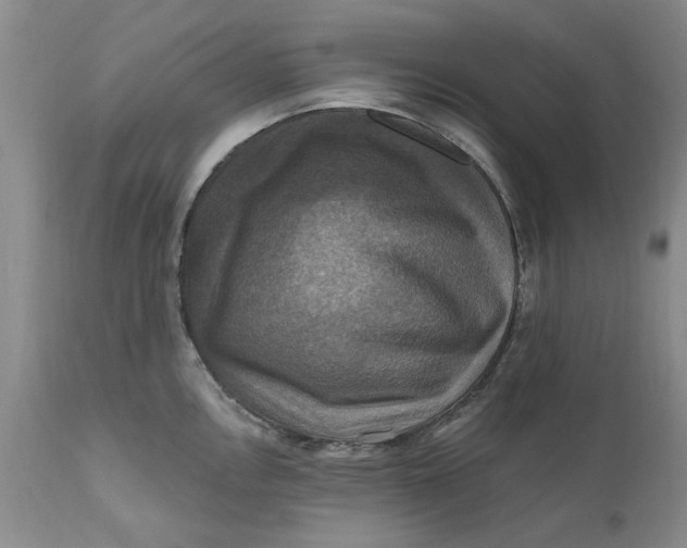 X0000112031146200908241532