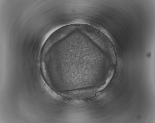 X0000112031148200908241532