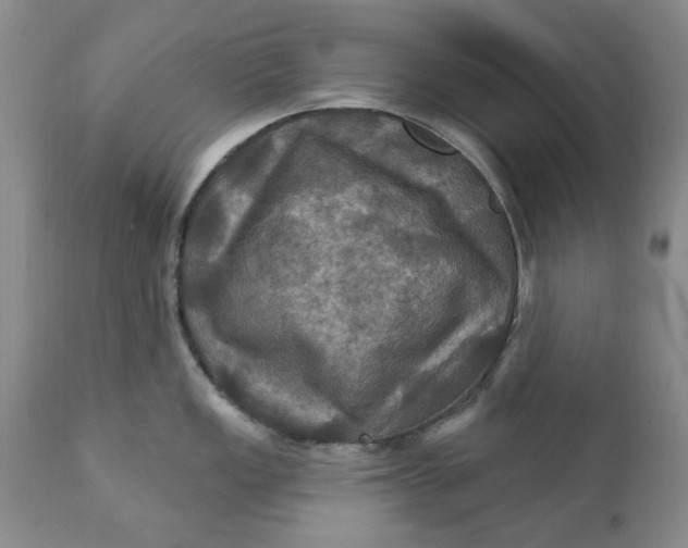 X0000112031149200908241532