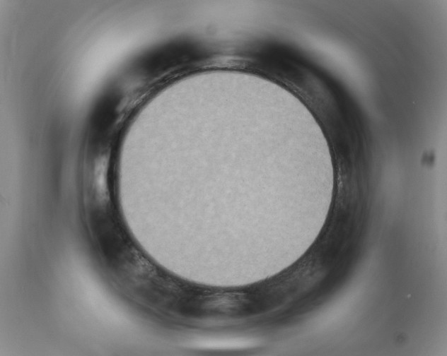 X0000112031150200908241532