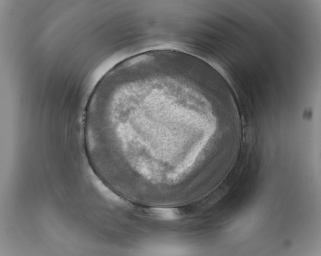 X0000112031151200908241532