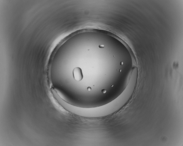 X0000112031152200908241532