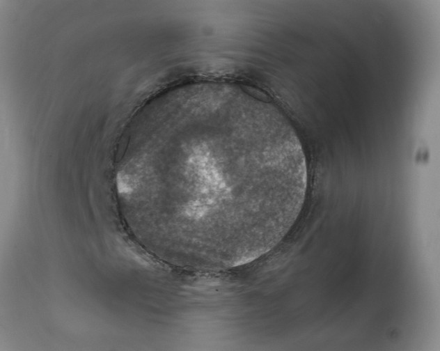 X0000112031153200908241531