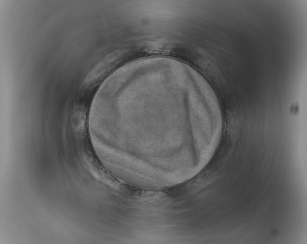 X0000112031154200908241531