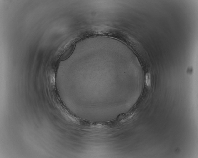 X0000112031155200908241531