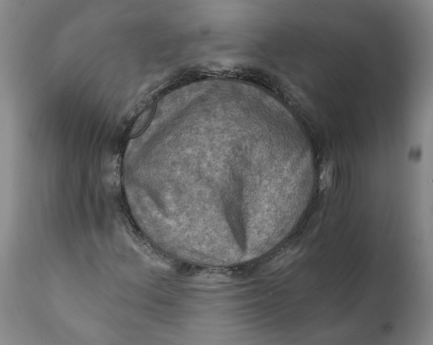 X0000112031156200908241531