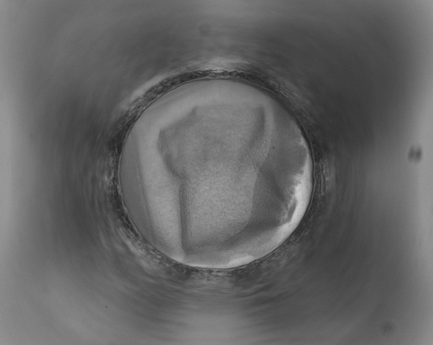 X0000112031158200908241531