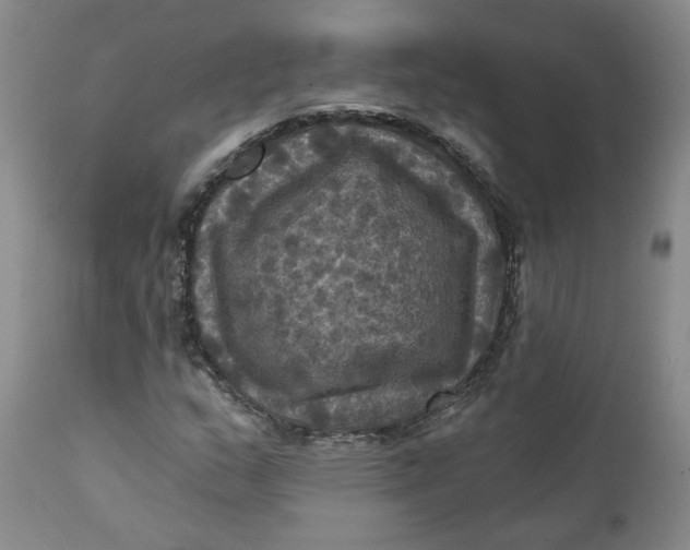 X0000112031159200908241531