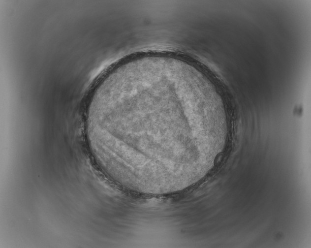 X0000112031160200908241531