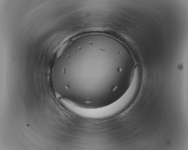 X0000112031161200908241531