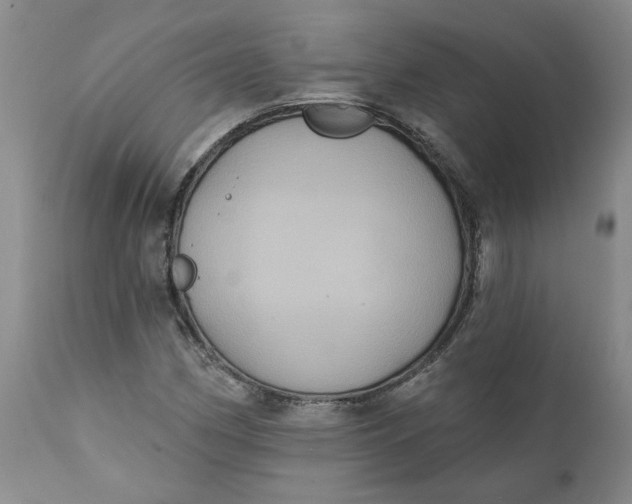 X0000112031162200908241531