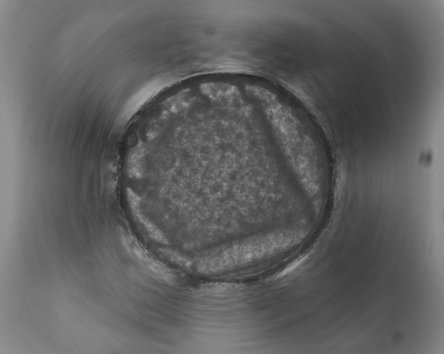 X0000112031163200908241531