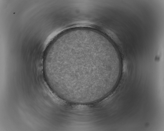 X0000112031164200908241531