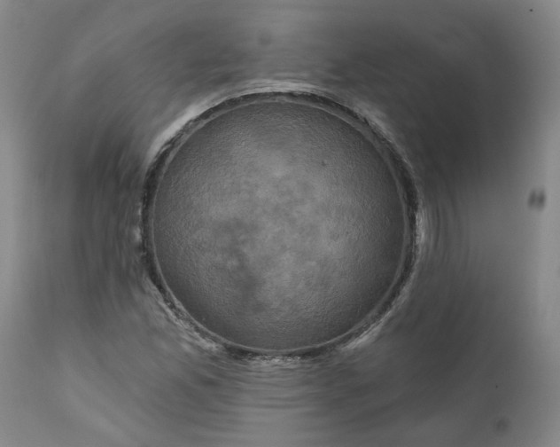 X0000112031165200908241531