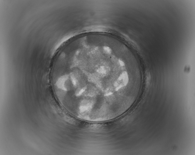 X0000112031166200908241531