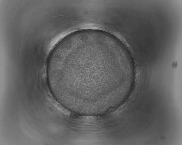 X0000112031167200908241531