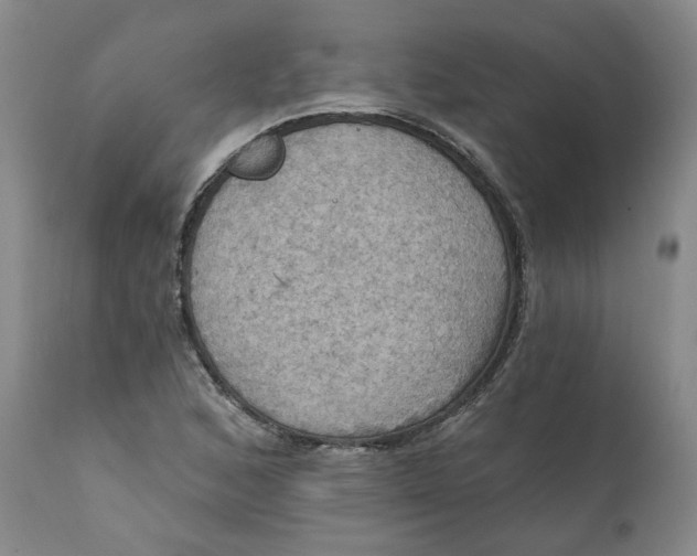 X0000112031168200908241531