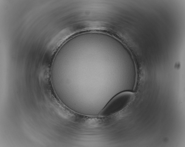 X0000112031169200908241531