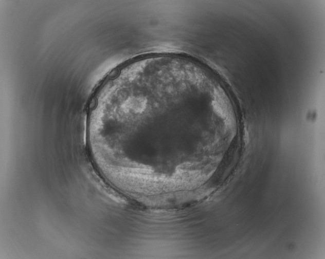 X0000112031171200908241531