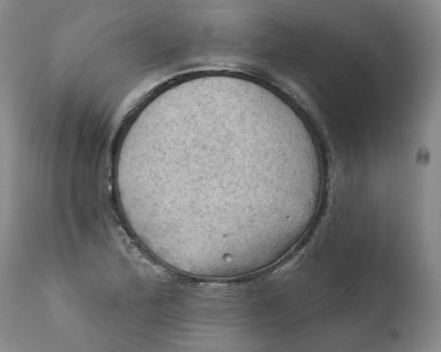 X0000112031172200908241531