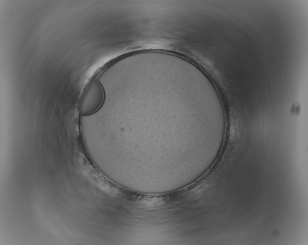 X0000112031174200908241531